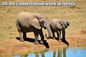 20 conservation africa