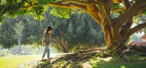 Image @ Kevin Young Connect with Nature and check in with your Feelings