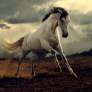 Reign In Your Wildly Creative Mind~Highly Sensitives