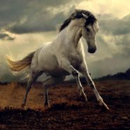 Reign In Your Wildly Creative Mind~Highly Sensitives